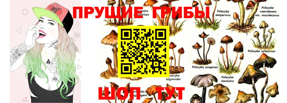 Галлюциногенные грибы Magic Shrooms Заречный