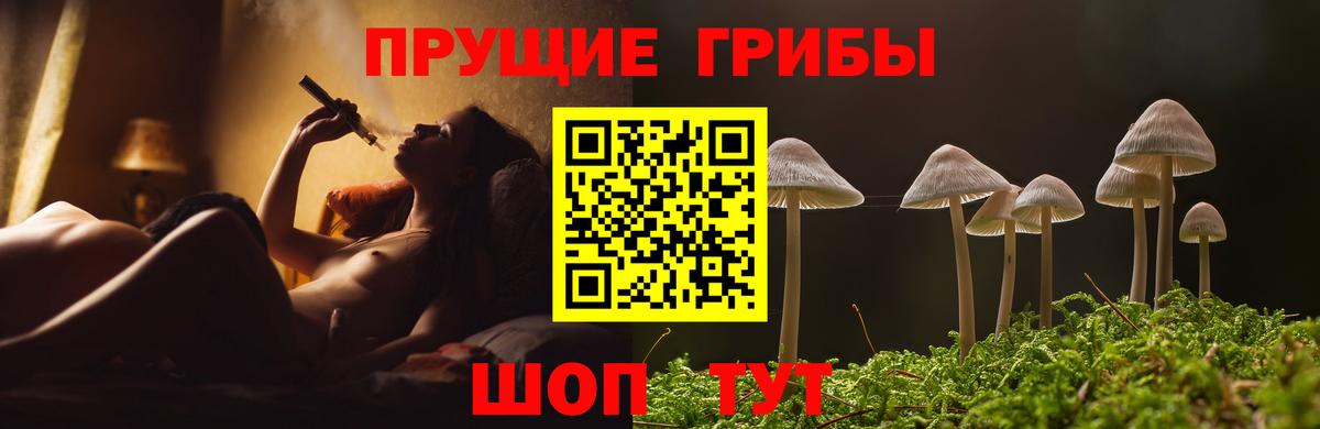 Псилоцибиновые грибы мицелий  где продают наркотики  Заречный  Вход с VPN 